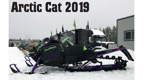 Arctic Cat 2019