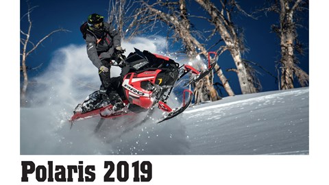 Polaris 2019