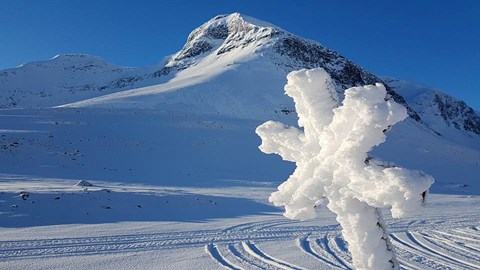Dela med dig av dina erfarenheter, svara på en enkät om snöskoteråkning!