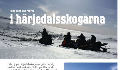 Pang pang och raj raj i härjedalsskogarna