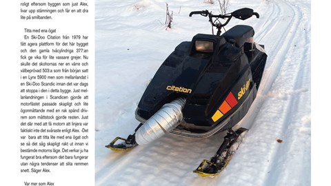 Störig Citation